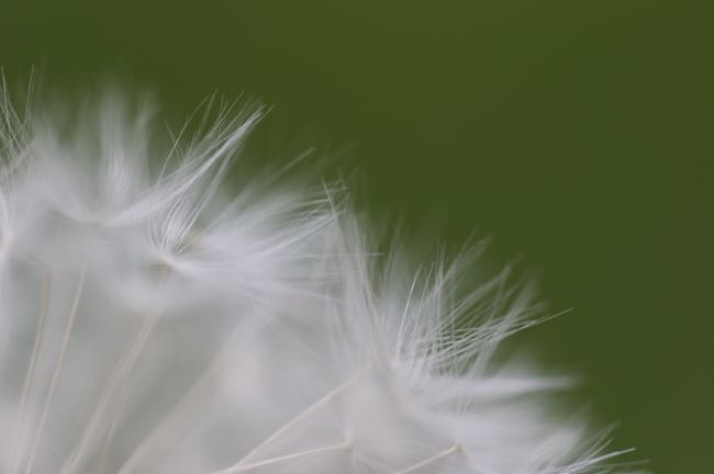 Die Mutter ist die wichtigste biografische Komponente in unserem Leben